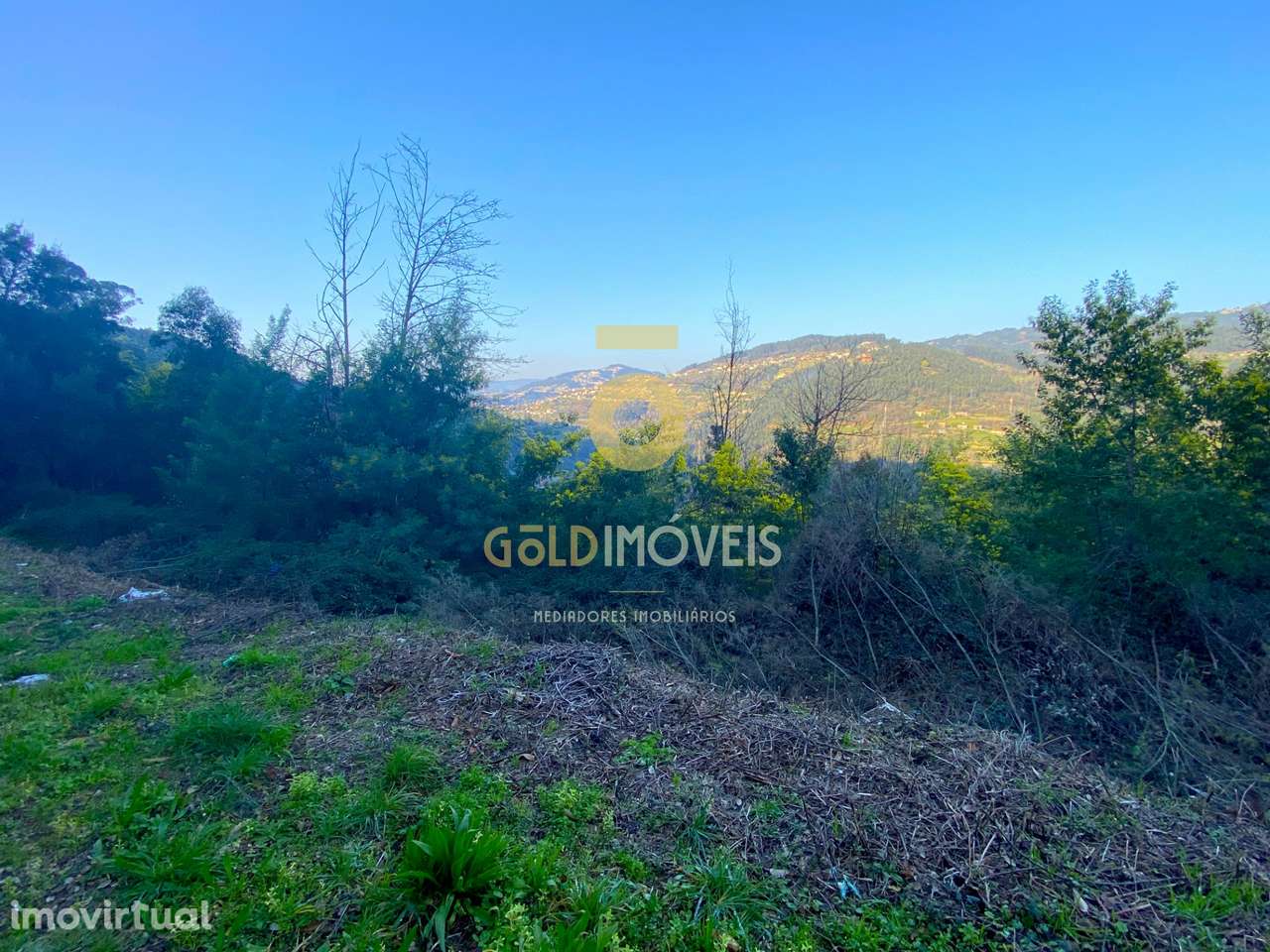 Terreno Florestal - Grande imagem: 5/6