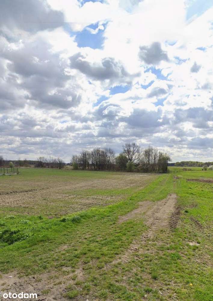 Działka budowlana | pow. 1008 m2 | 17 km od Wrocławia | - Pełny obrazek: 4/5