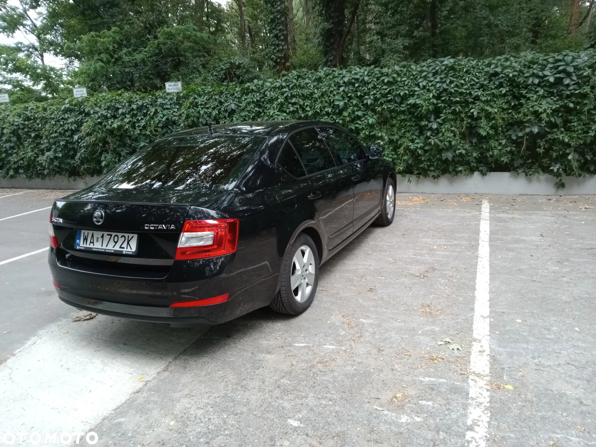 Skoda Octavia 1.8 TSI Ambition EU6 - 5
