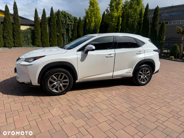 Lexus NX 300h Comfort AWD