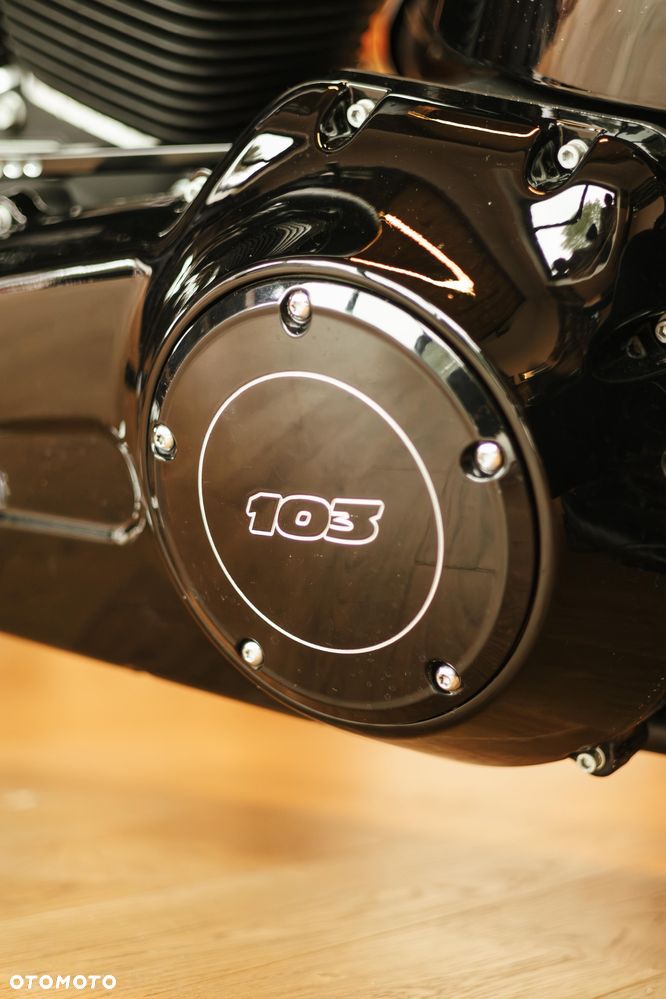 Harley-Davidson Softail Blackline - 27