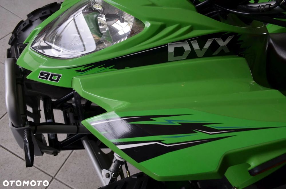 Arctic Cat Inny - 8
