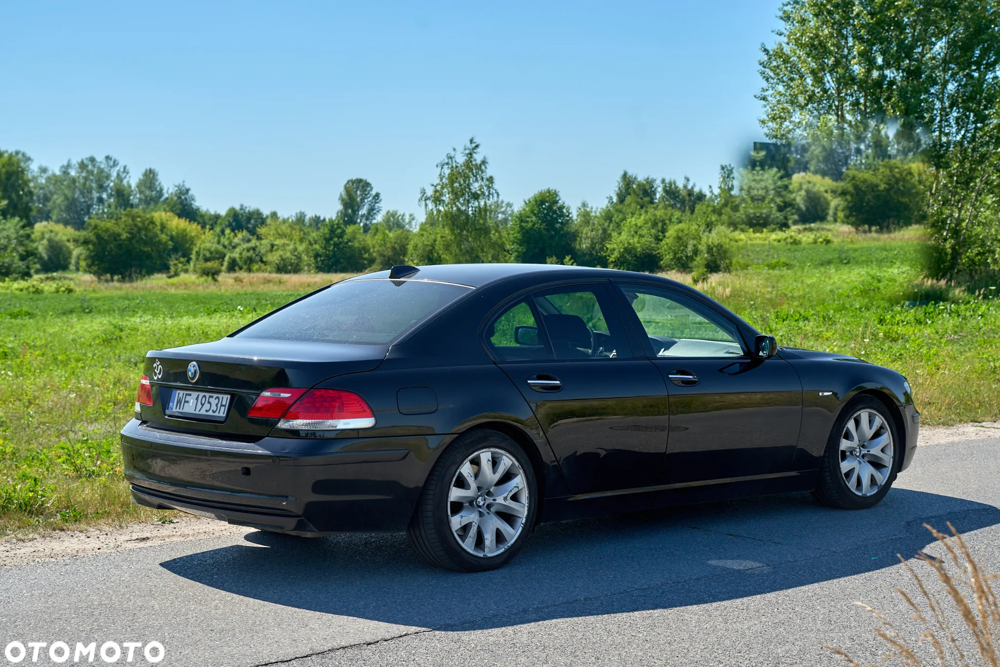 BMW Seria 7 730d - 15