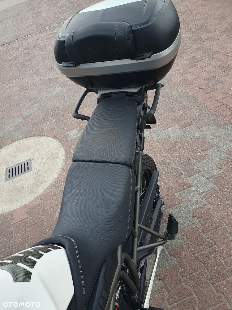 Triumph Tiger - 14