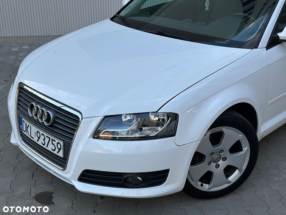 Audi A3 3-drzwiowe 1.6 TDI DPF Ambition - 10