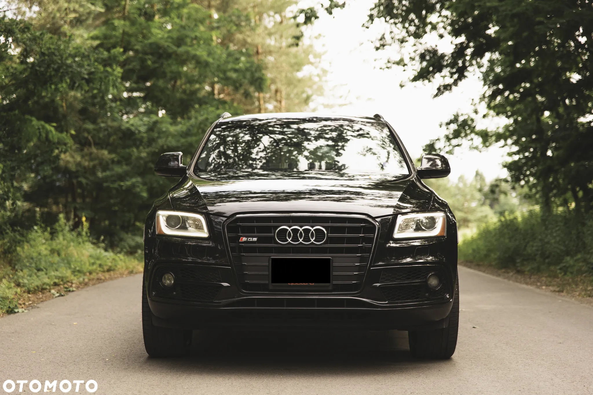 Audi SQ5 3.0 TFSI Quattro Tiptronic - 10