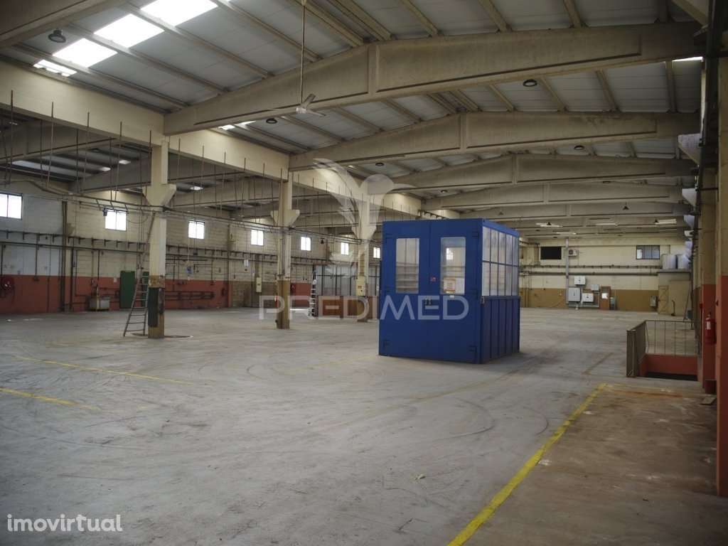 Venda Armazém industrial com logradouro, Queluz Oeiras - Grande imagem: 3/23