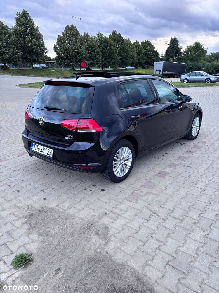 Volkswagen Golf 1.6 TDI BlueMotion Technology Cup - 6