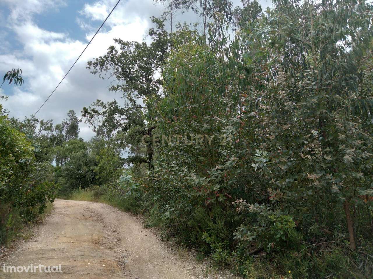 Terreno Rùstico - Grande imagem: 5/7