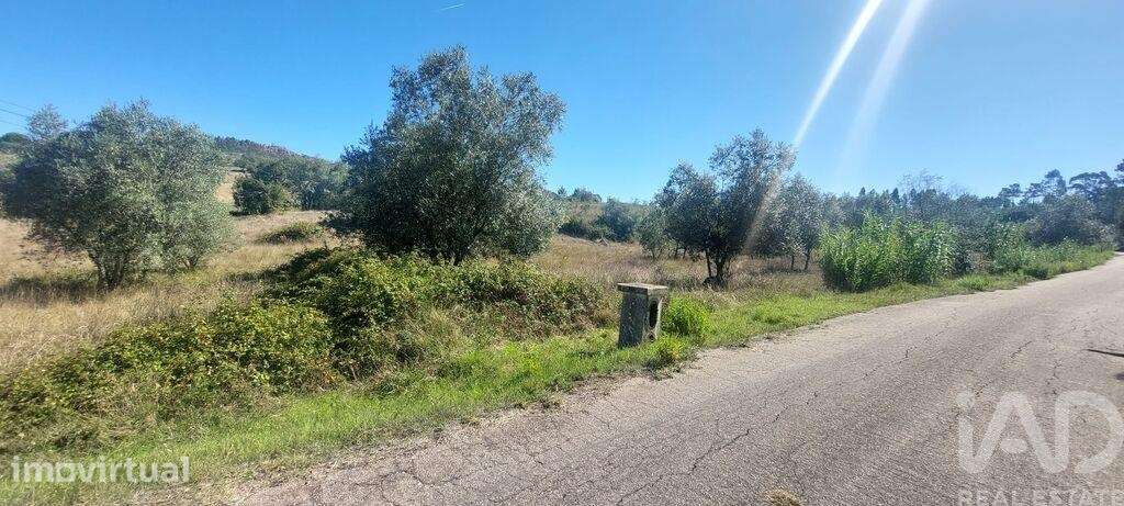 Terreno Agrícola em Colmeias e Memória - Grande imagem: 3/6