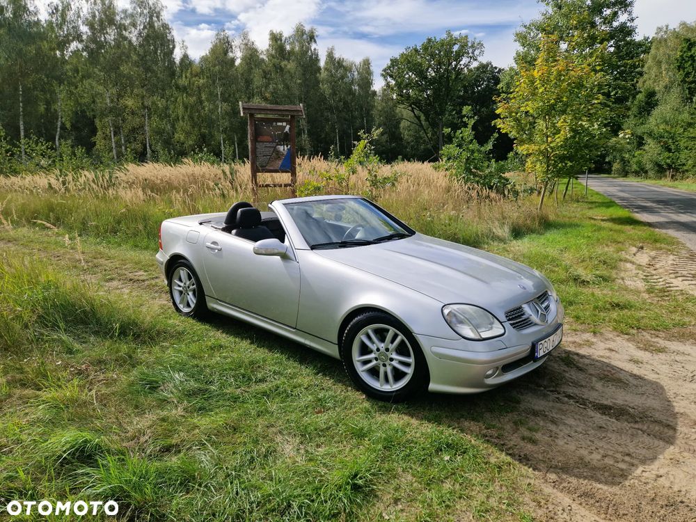 Mercedes-Benz SLK - 15