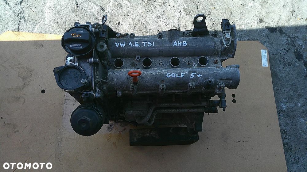 VW GOLF V PLUS SILNIK 1.6 FSI AHB - 8