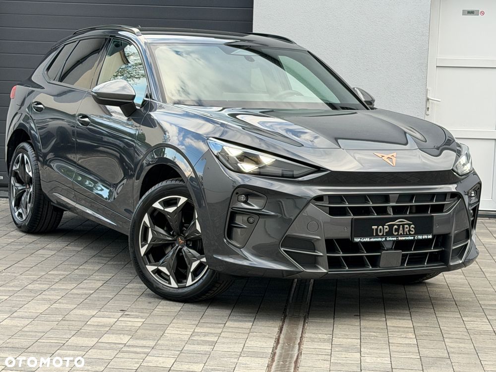 Cupra Terramar 2.0 TSI 4Drive DSG VZ - 13