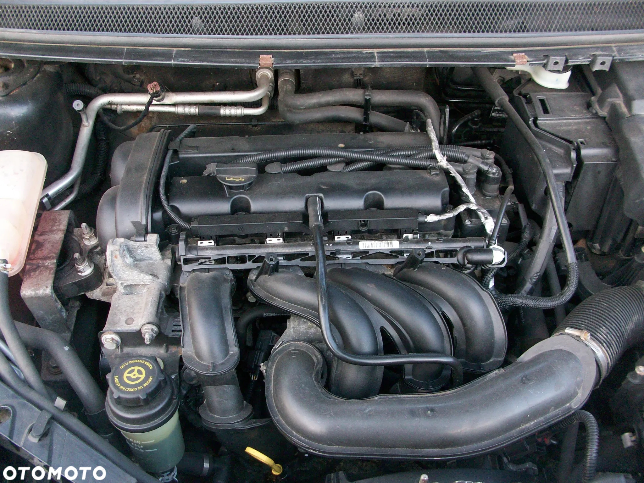 Ford Focus 1.6 FX Gold / Gold X - 10