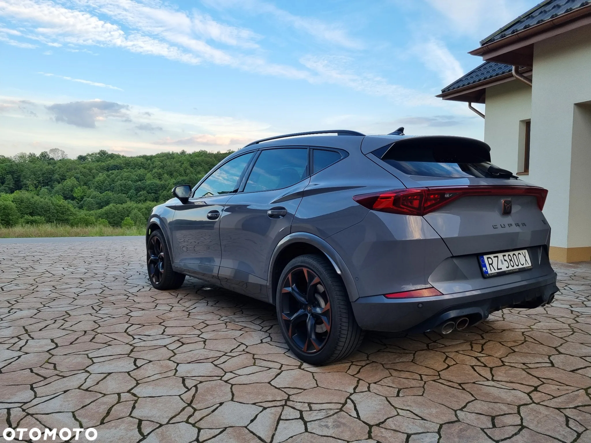 Cupra Formentor 2.0 TSI 4Drive VZ DSG - 24