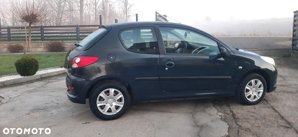 Peugeot 206 plus - 15