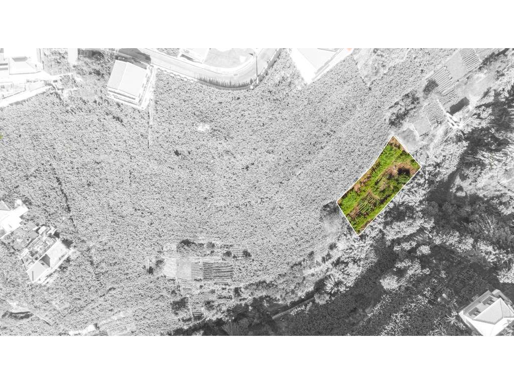 Terreno Estreito de Câmara de Lobos - Grande imagem: 4/9