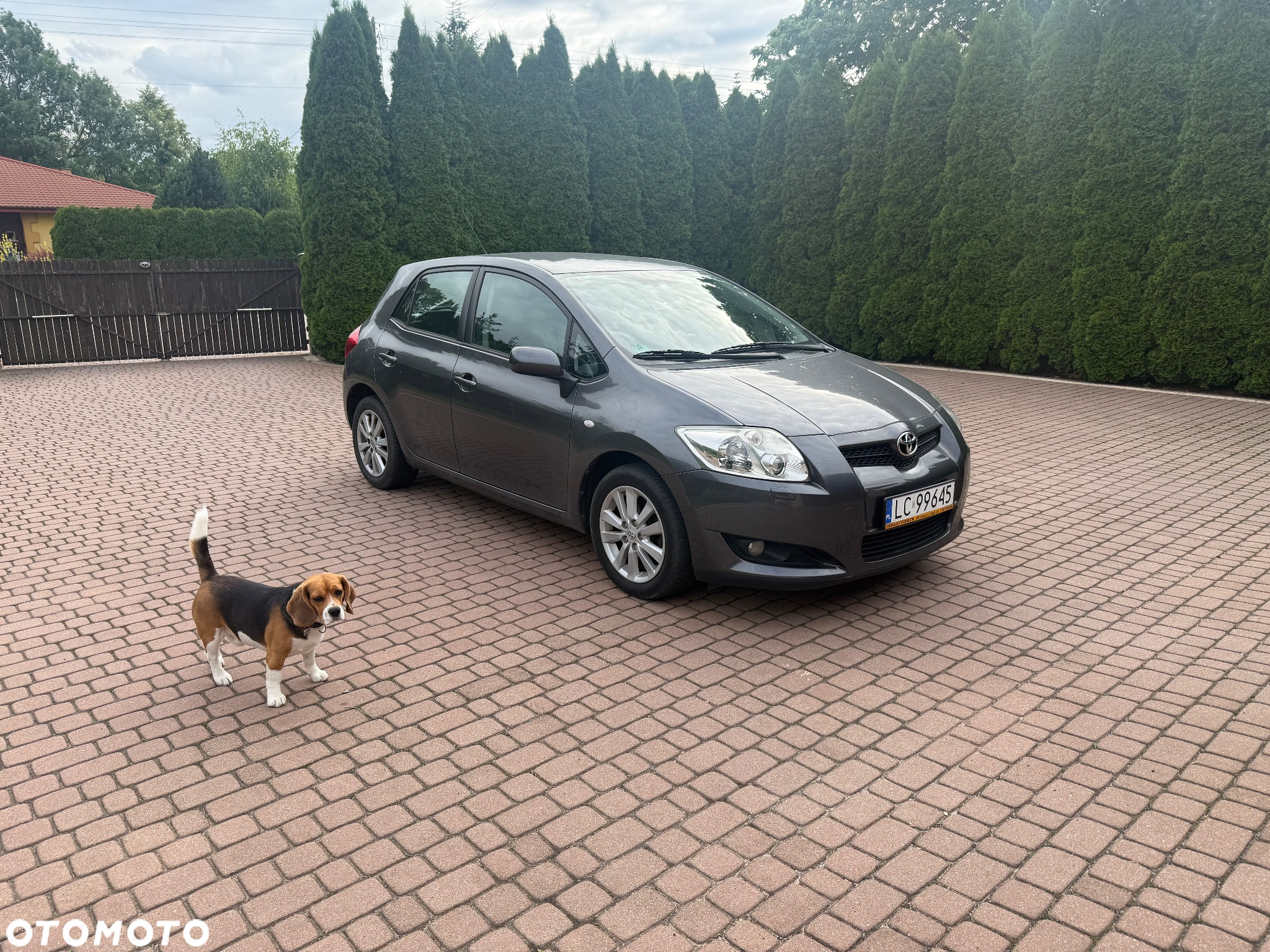 Toyota Auris 1.6 VVT-i Premium MM - 3