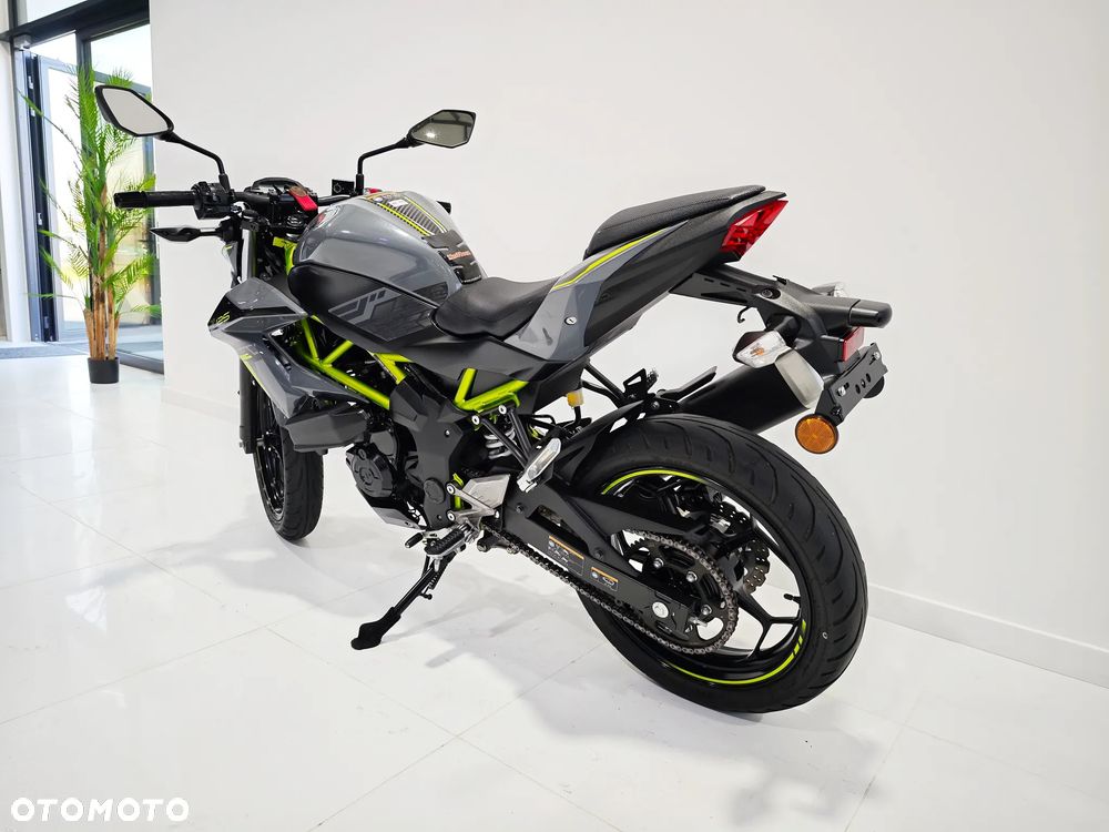 Kawasaki Z - 12