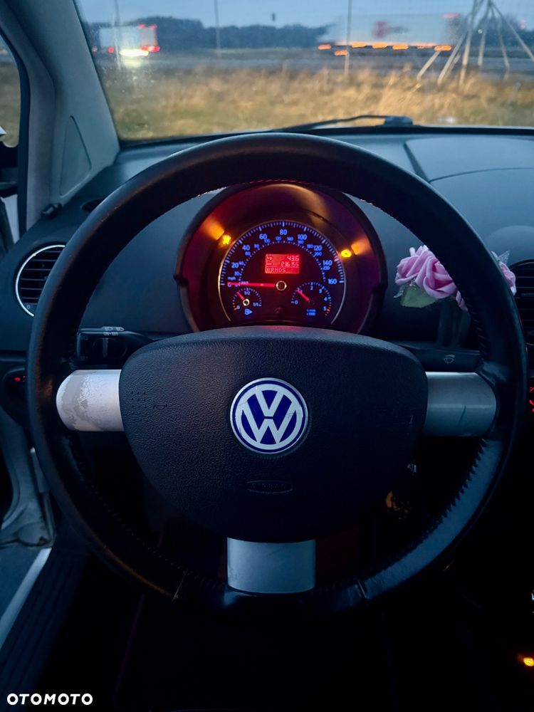 Volkswagen New Beetle - 6