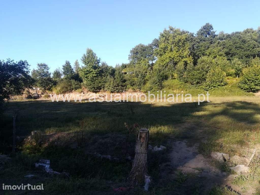Terreno Agrícola - Caldelas - Grande imagem: 4/4