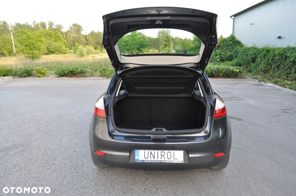Renault Megane - 18