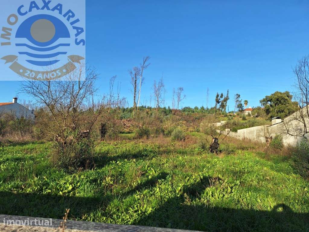 Terreno para construção-Mata - Grande imagem: 4/6