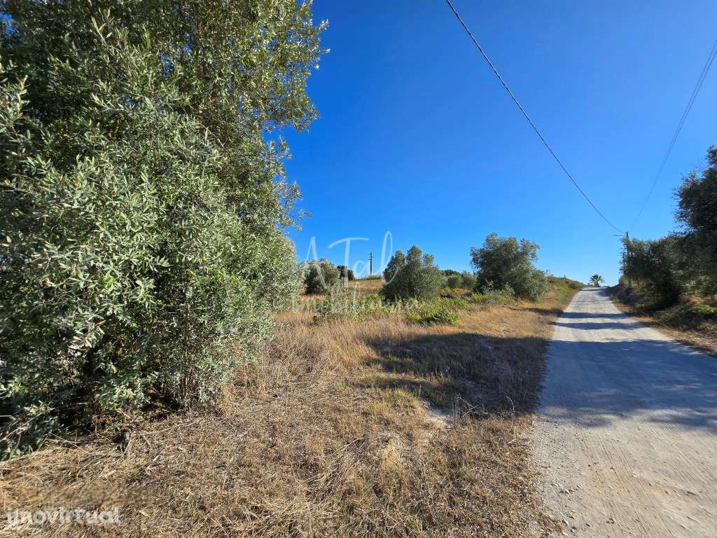 TERRENO RÚSTICO EM PONTEVEL - Grande imagem: 3/6