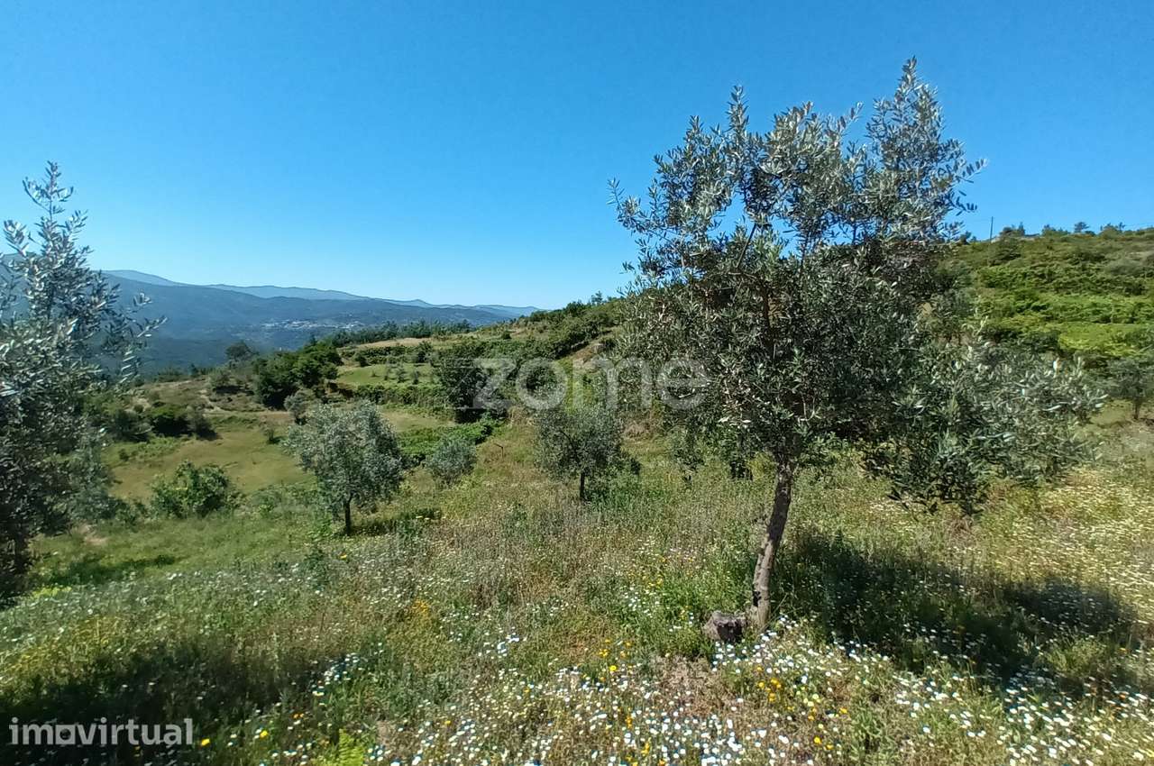 Vende-se terreno Rustico - Grande imagem: 2/6