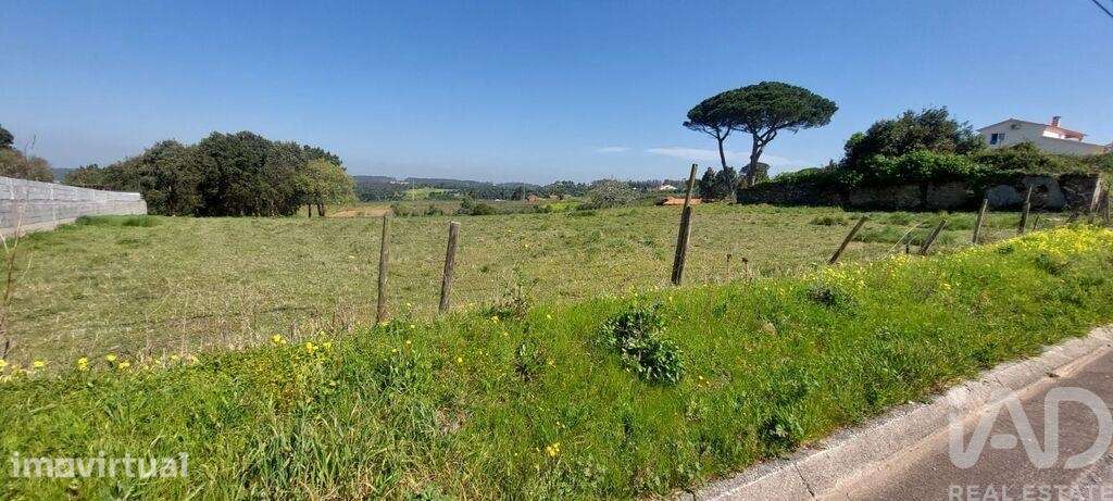 Terreno para construção em Aljubarrota - Grande imagem: 3/6