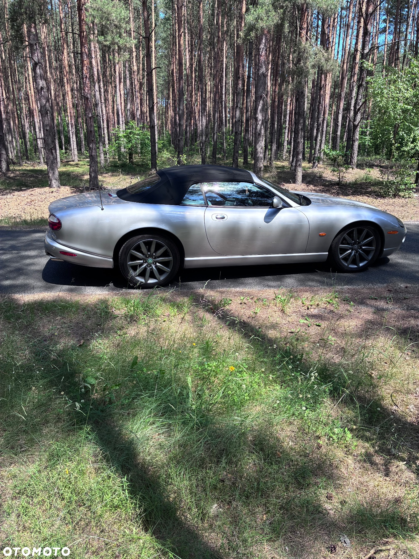 Jaguar XK8 Cabriolet - 15