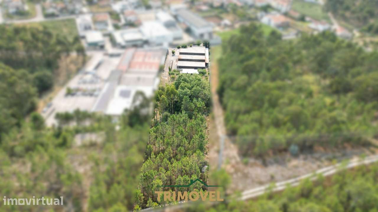 Pavilhão industrial em São Roque, Oliveira de Azeméis - Grande imagem: 2/23