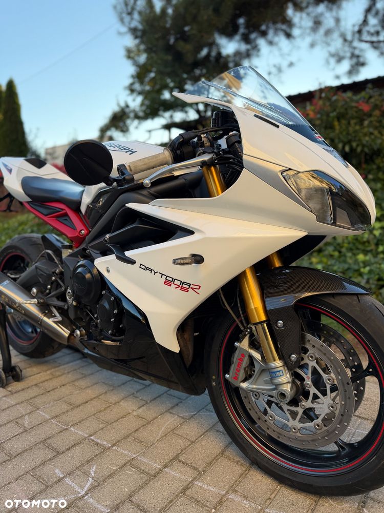 Triumph Daytona - 20