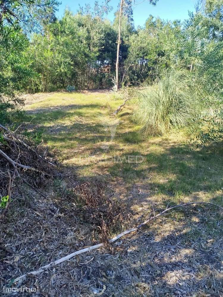 Terreno perto da Ria - Grande imagem: 5/7