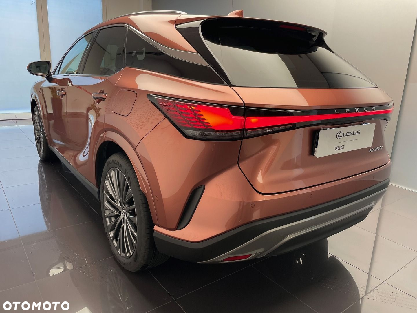 Lexus RX - 6