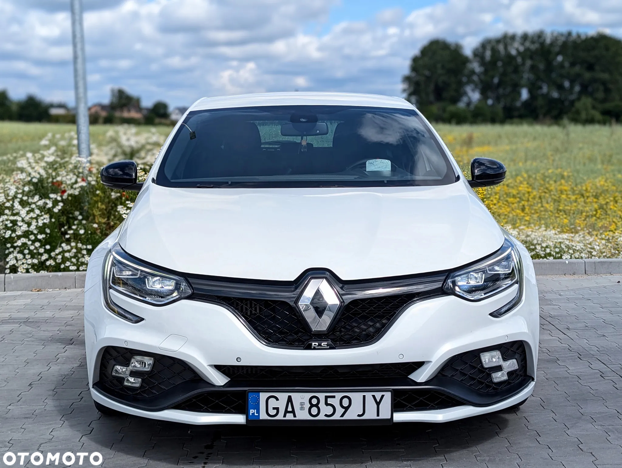 Renault Megane ENERGY TCe 280 R.S - 9