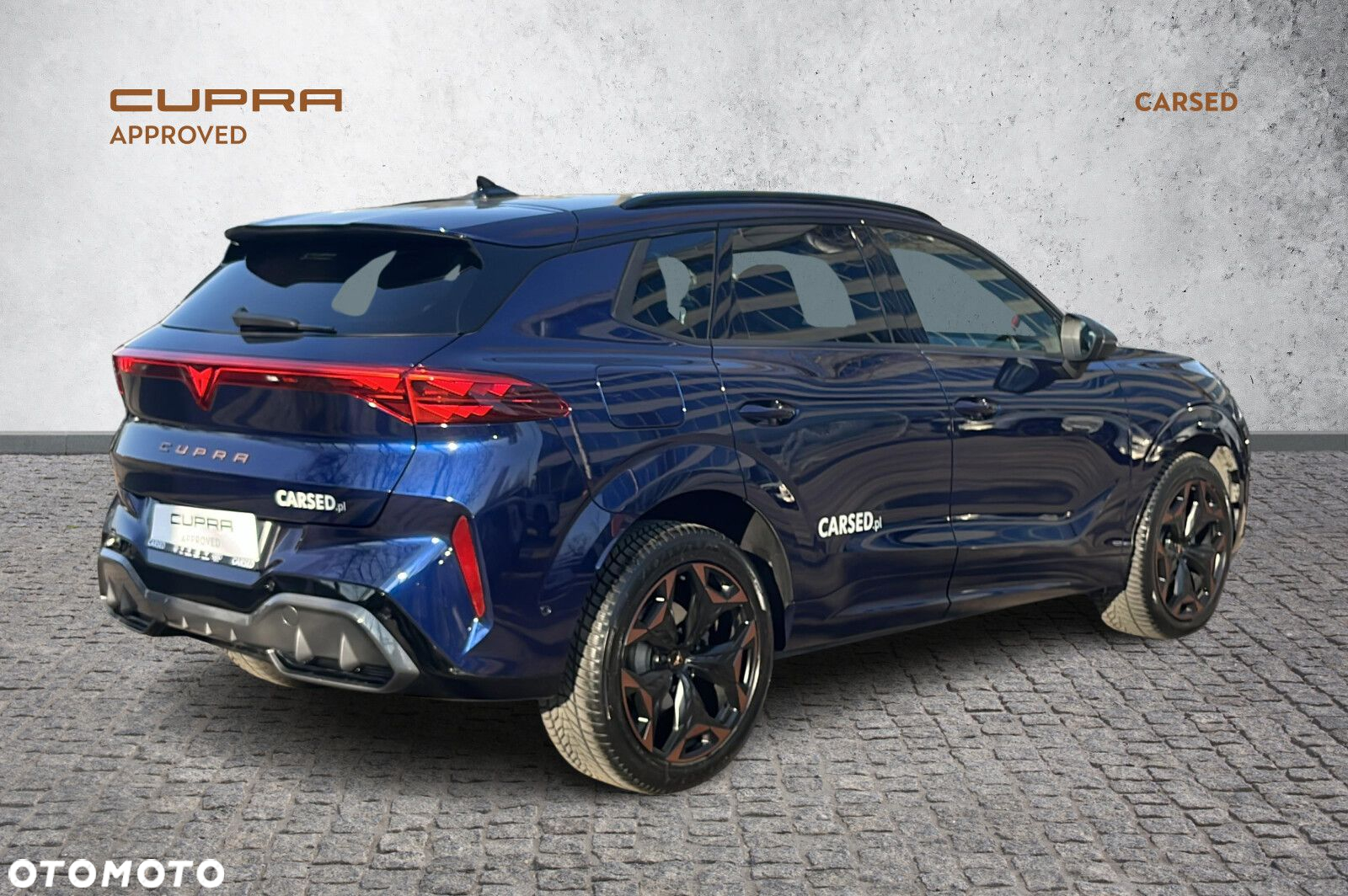 Cupra Terramar - 5