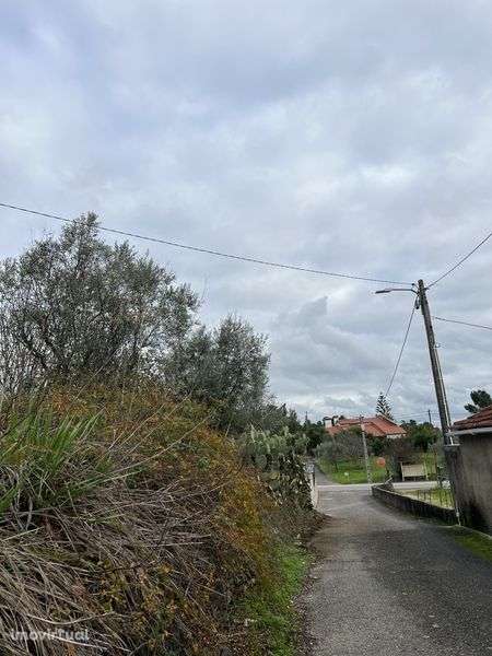 Casa com terreno no Sardoal – Excelente oportunidade - Grande imagem: 4/12