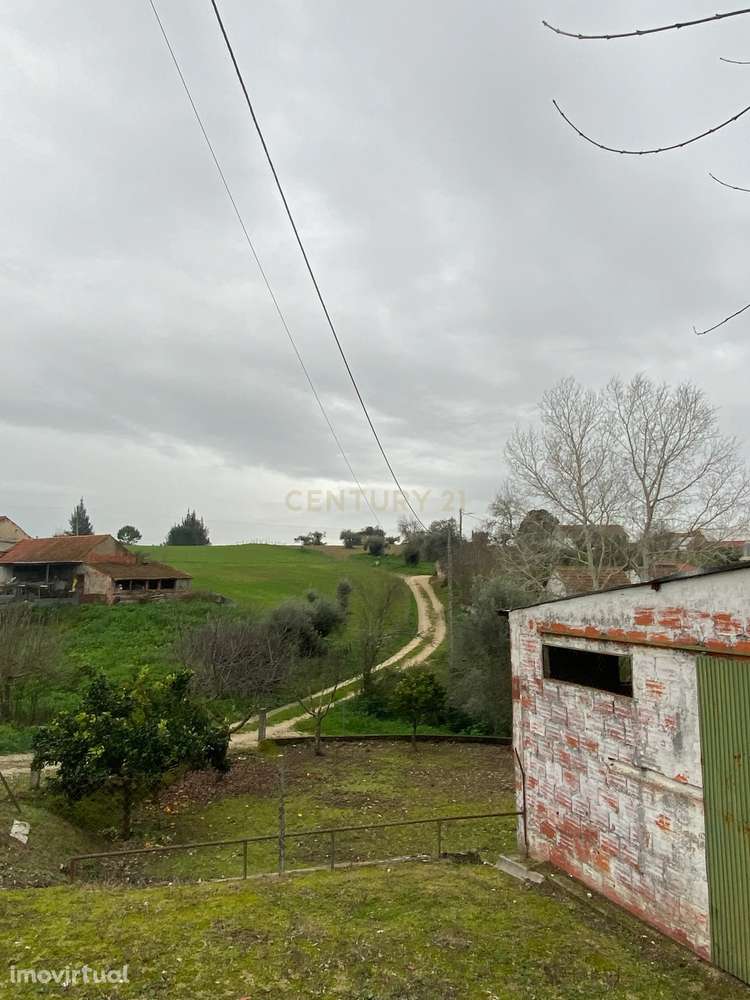 Moradia em Ruina Logradouro em S. Vicente de Paul - Santarém - Grande imagem: 5/23
