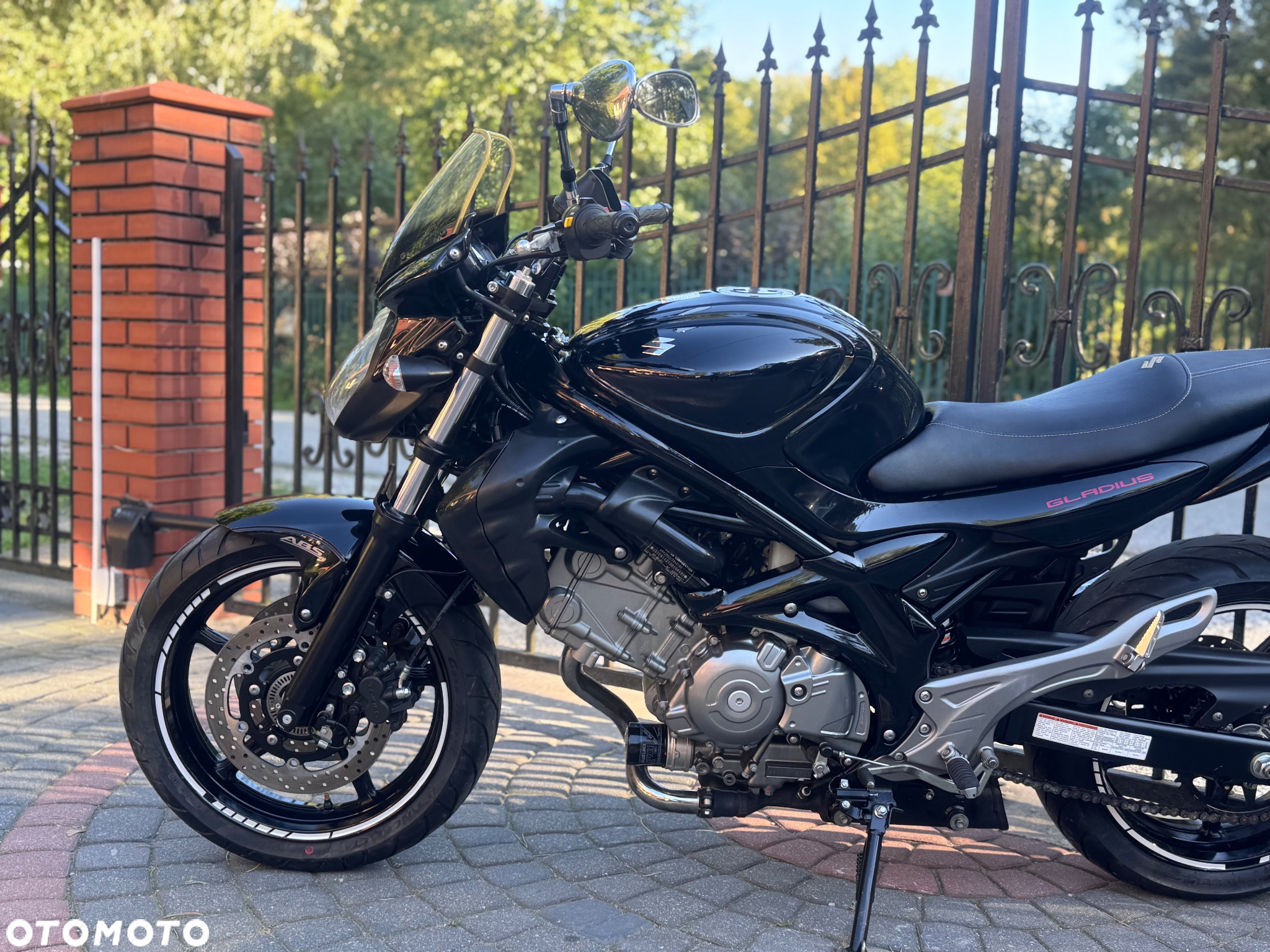 Suzuki Gladius - 19