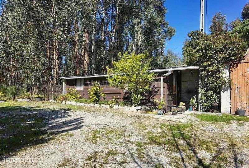 Casa mais uma quintinha - Grande imagem: 5/12