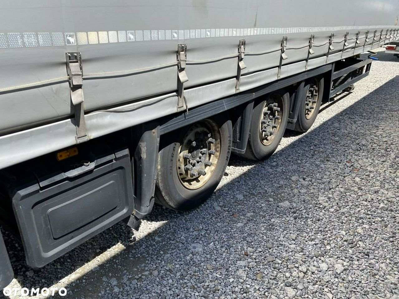 Schmidt - 26
