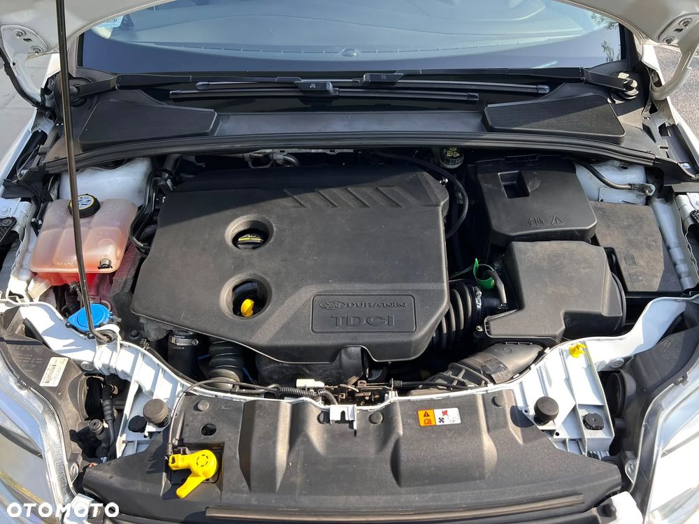 Ford Focus - 16