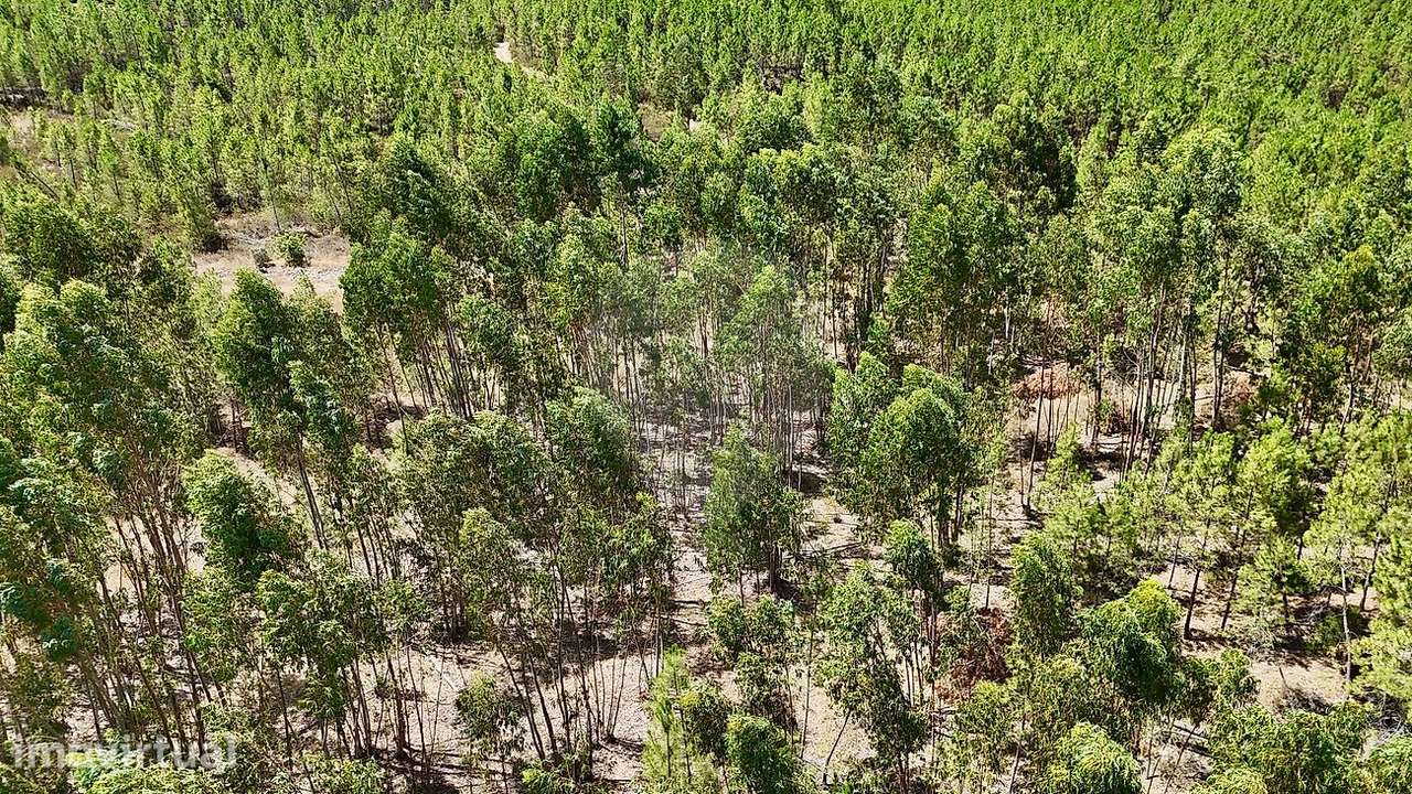 Terreno  para venda - Grande imagem: 3/34