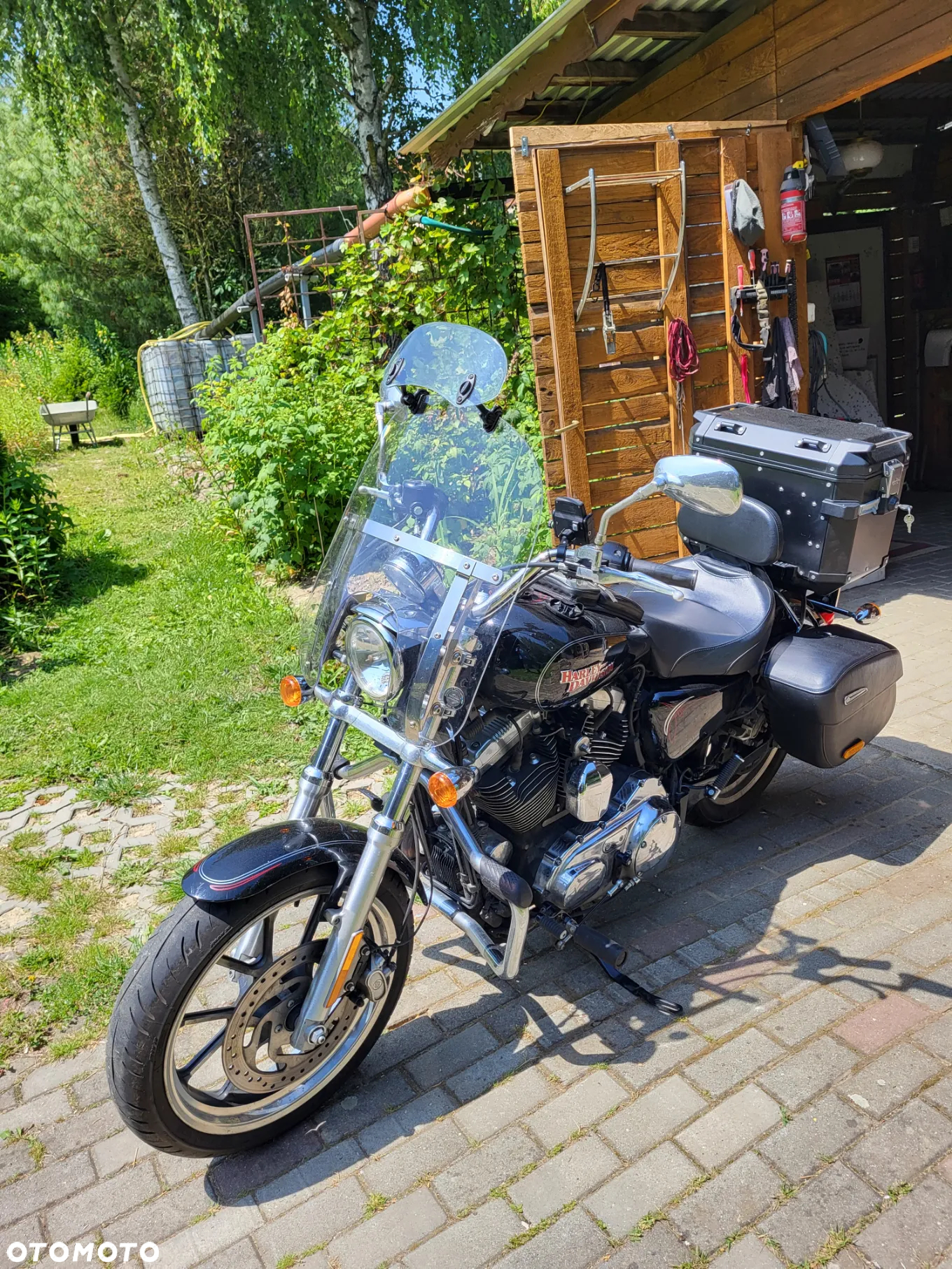 Harley-Davidson Sportster Custom 1200C - 4