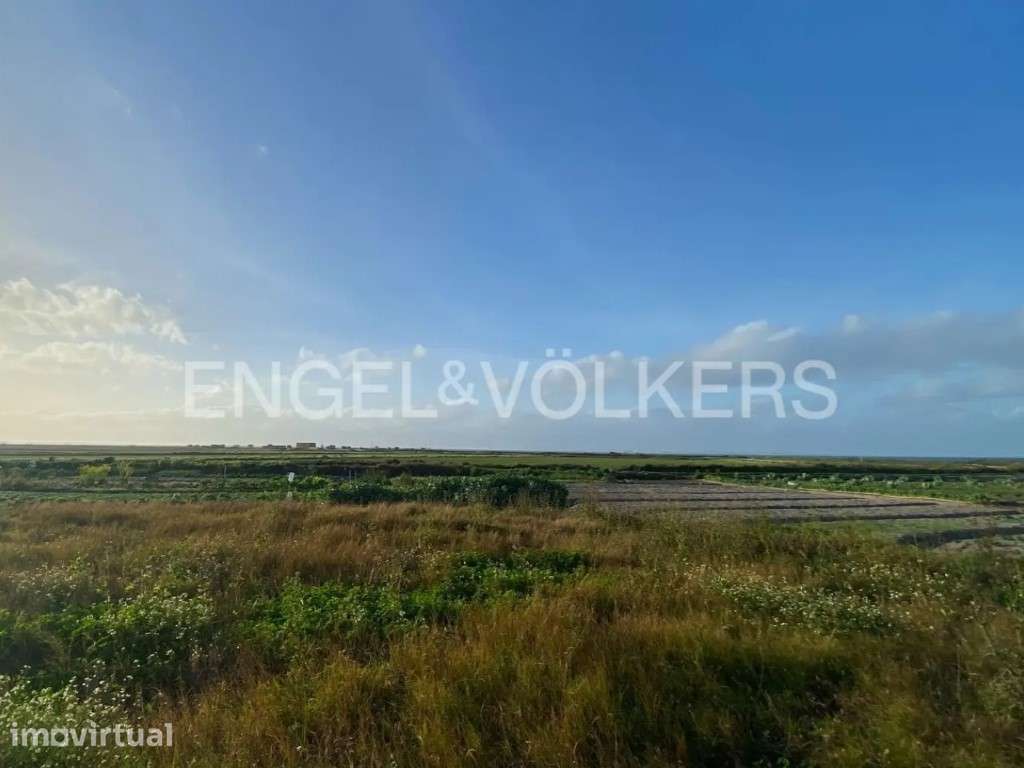 Terreno com vista arrozais na Comporta - Grande imagem: 3/9