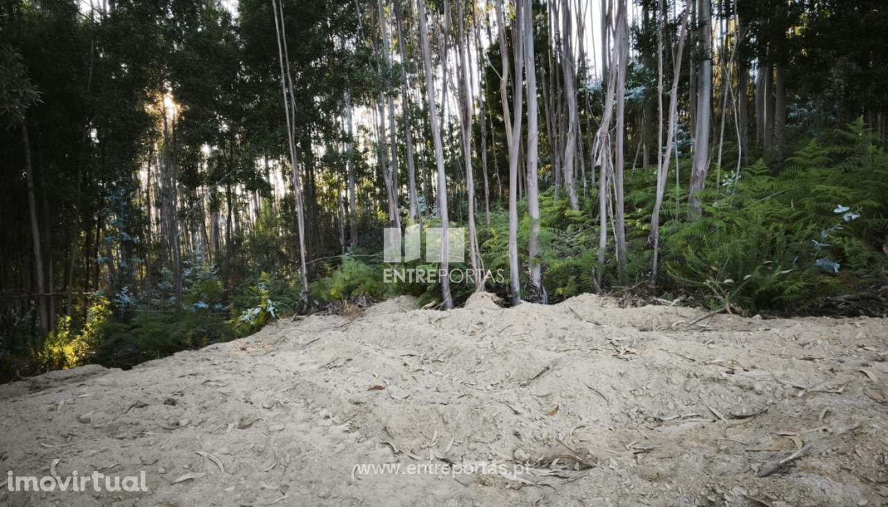 Venda de Terreno para construção, Meixedo, Viana do Castelo - Grande imagem: 3/18