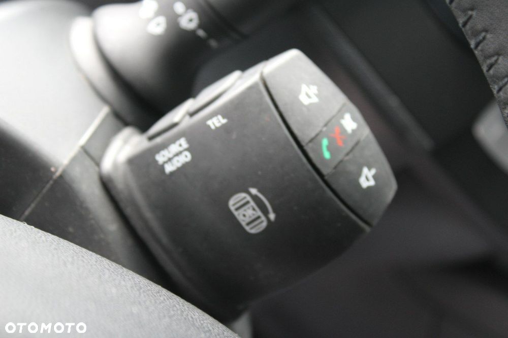 Renault Megane - 19