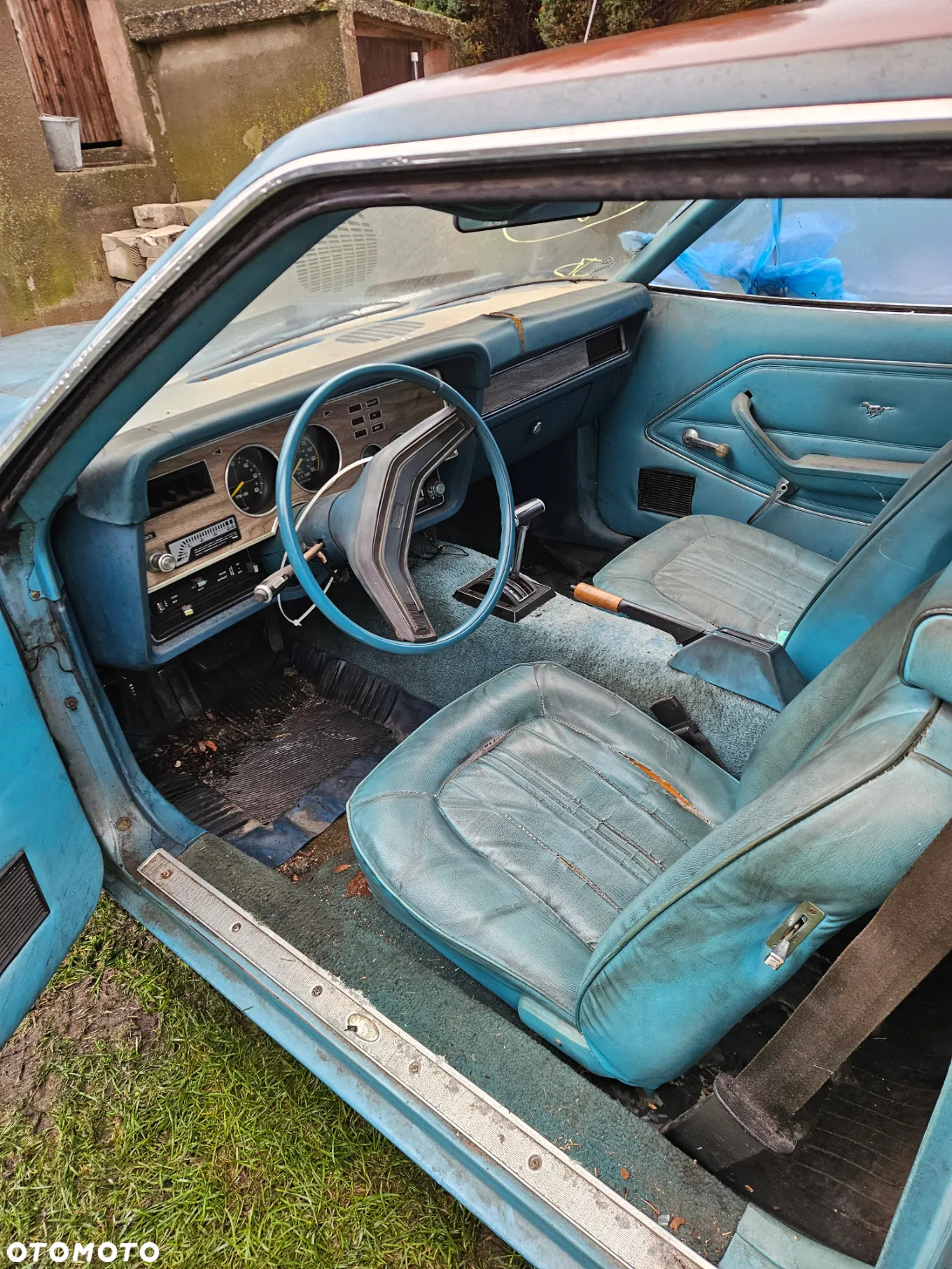 Ford Mustang - 6