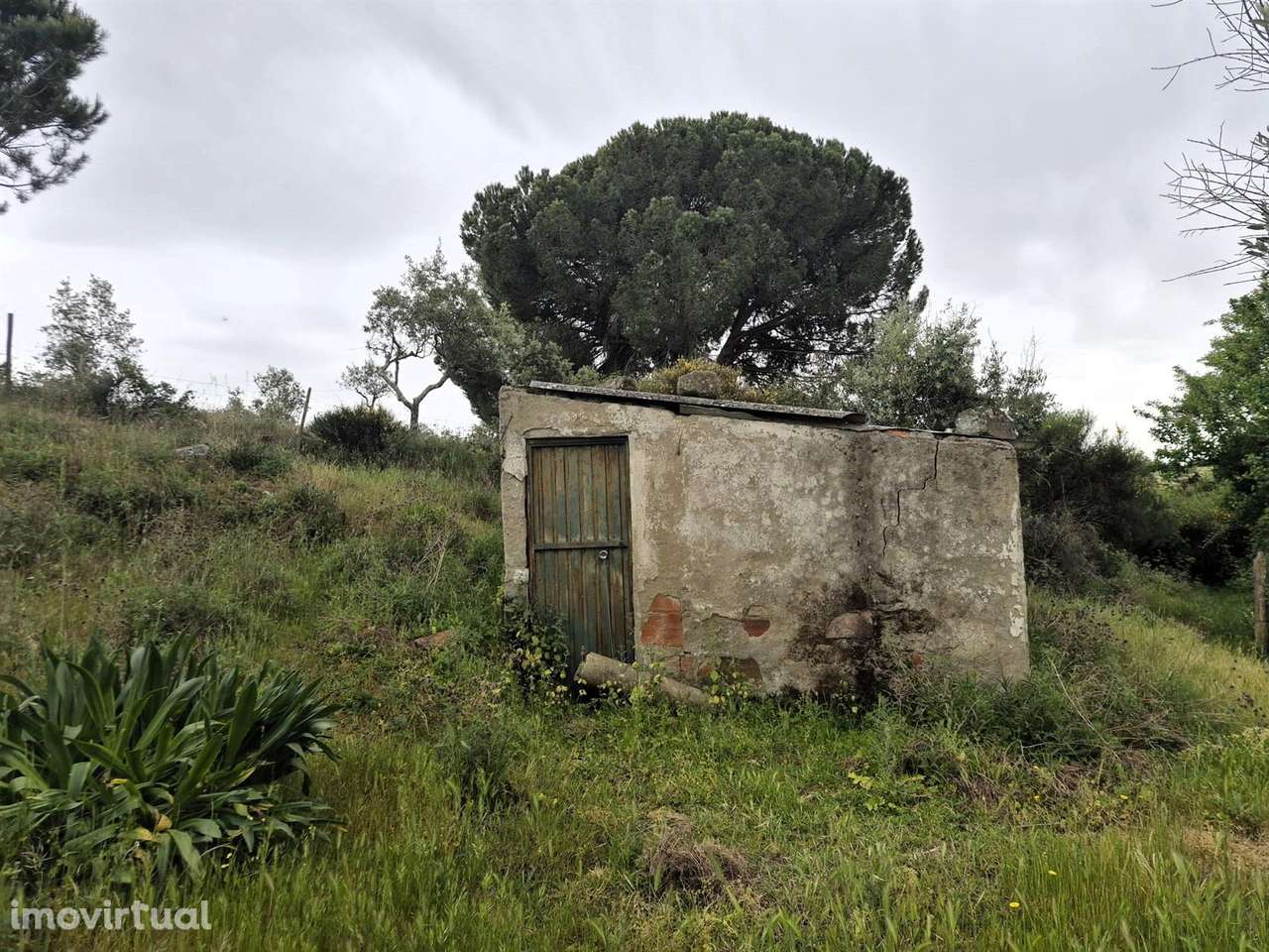 Quinta - Grande imagem: 2/16